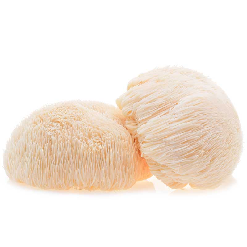 Lions Mane Mushrooms