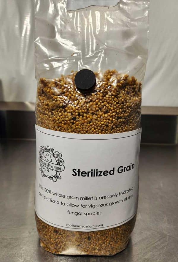 Sterile grain bag on table