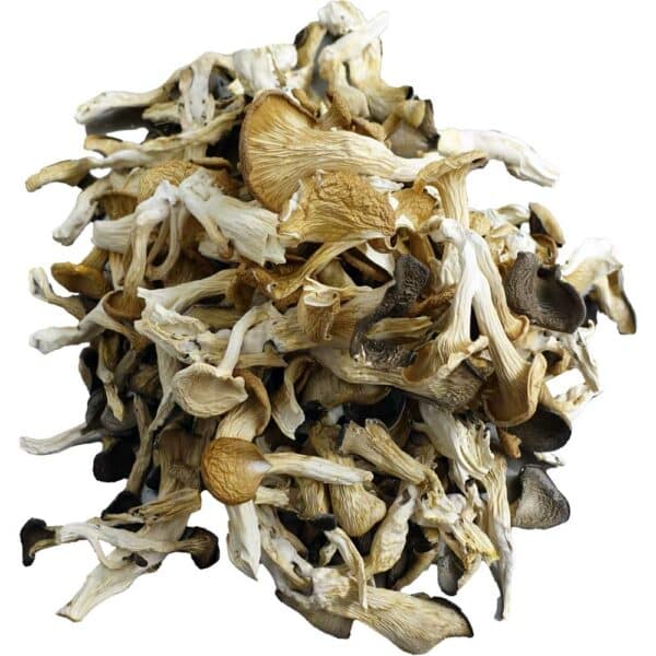 Dried oyster mushrooms