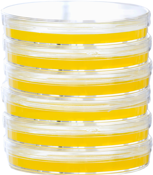 Stack of petri dishes with agar medium inside
