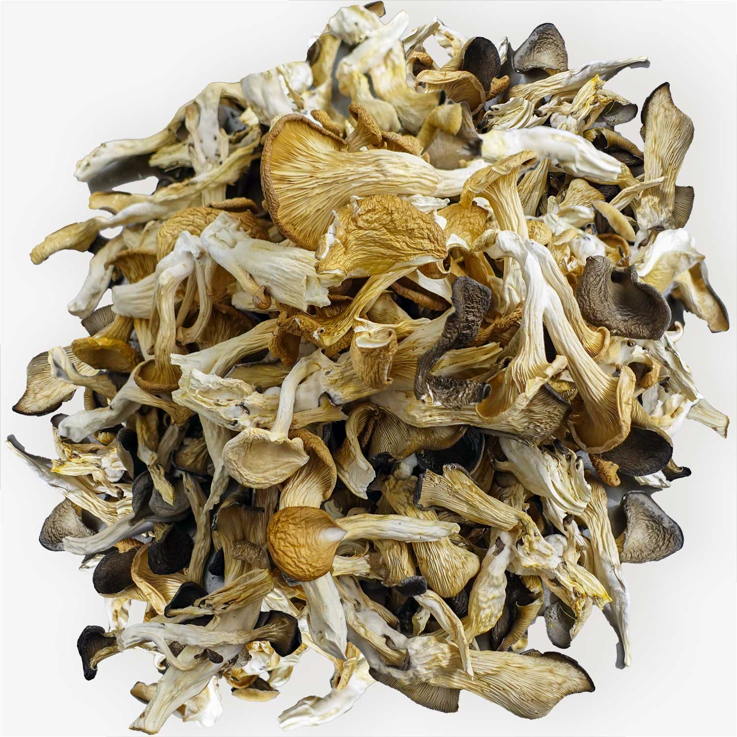 Dried Oyster Mushrooms