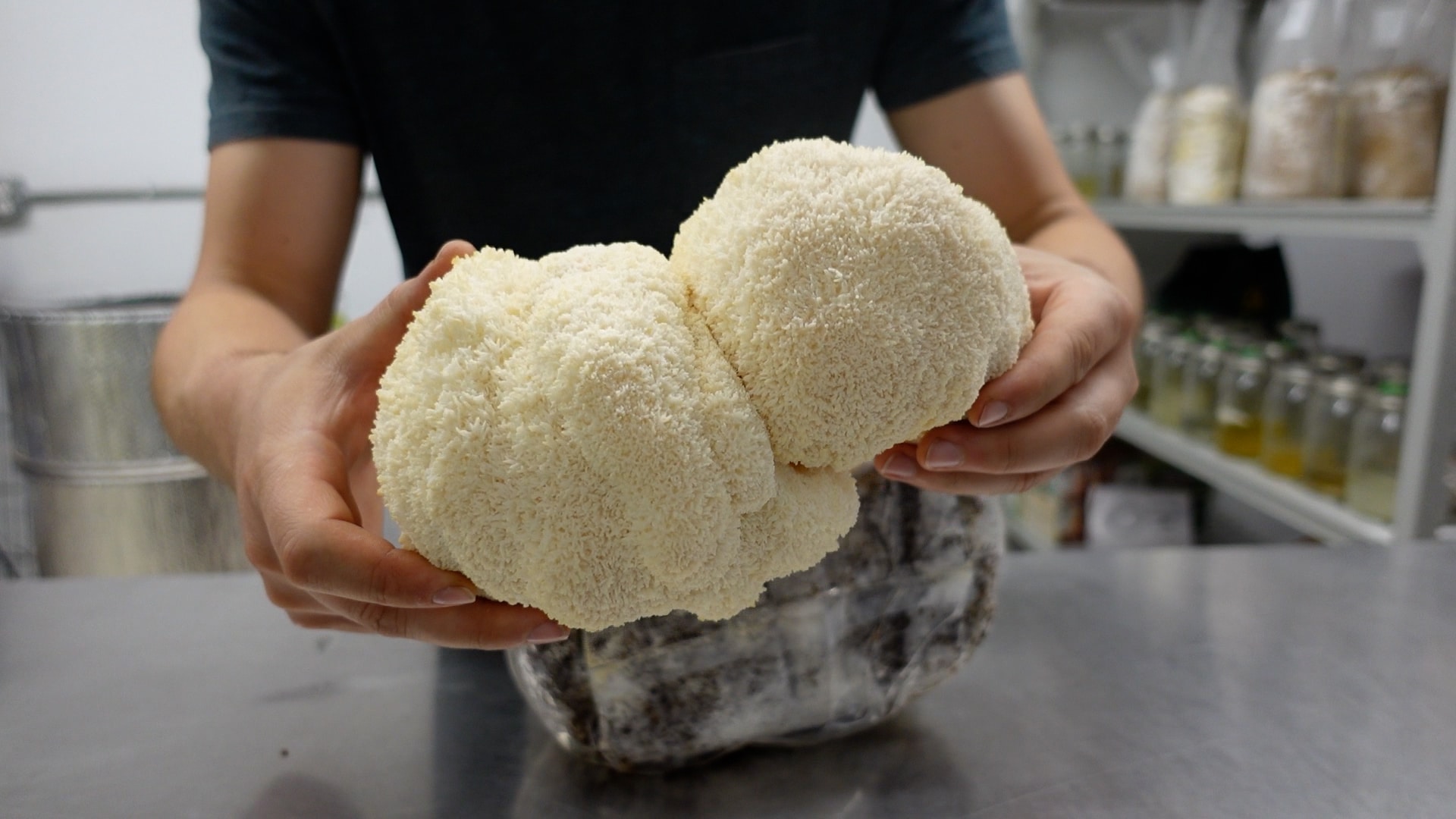 How to Grow Mushrooms at Home