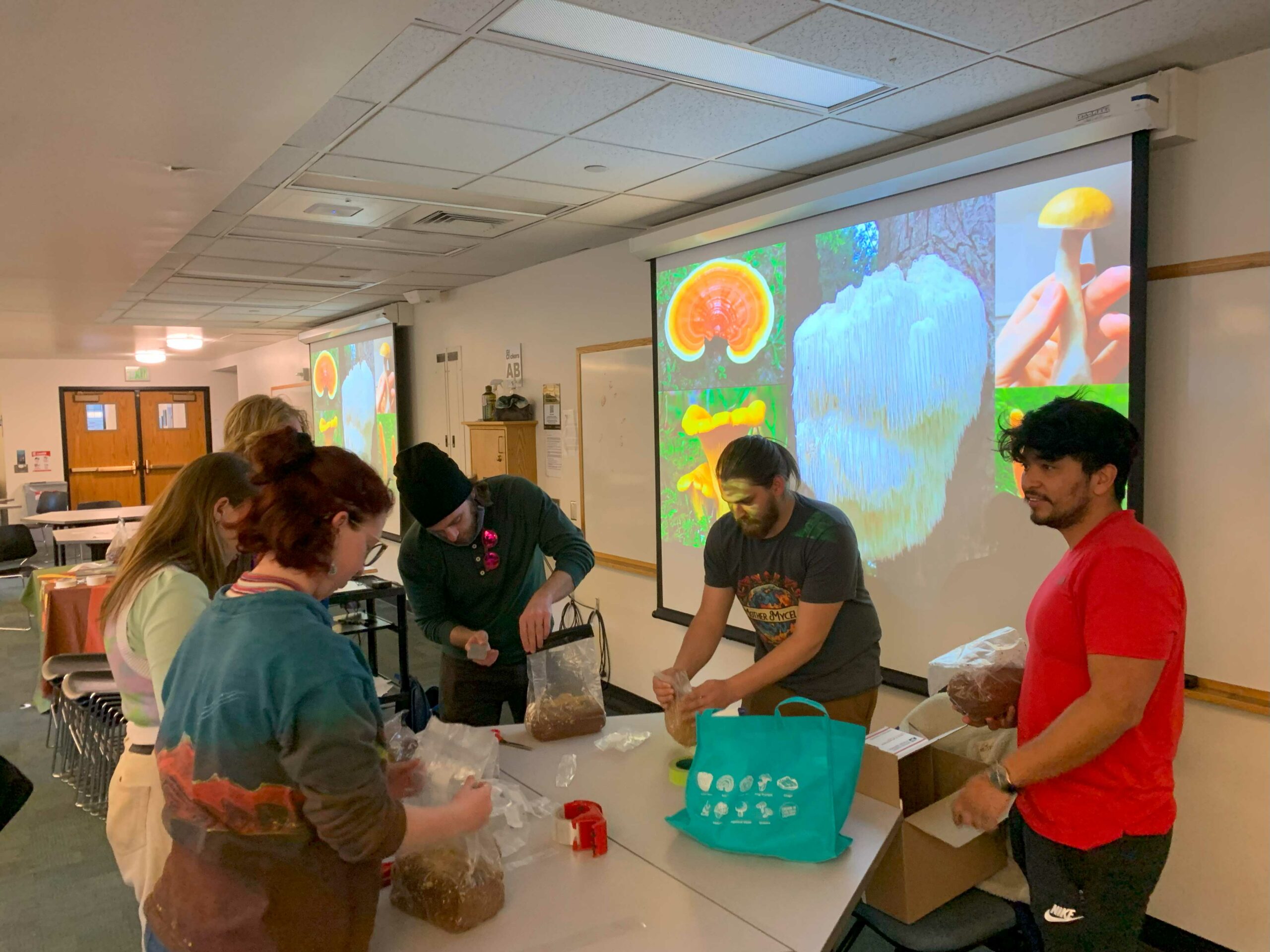 Group of people making mushroom grow kits